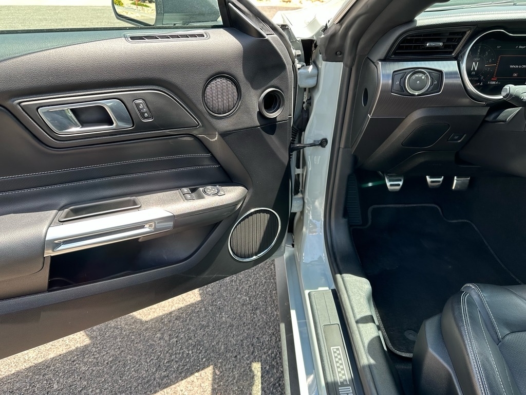 2021 Ford Mustang Mach 1 photo