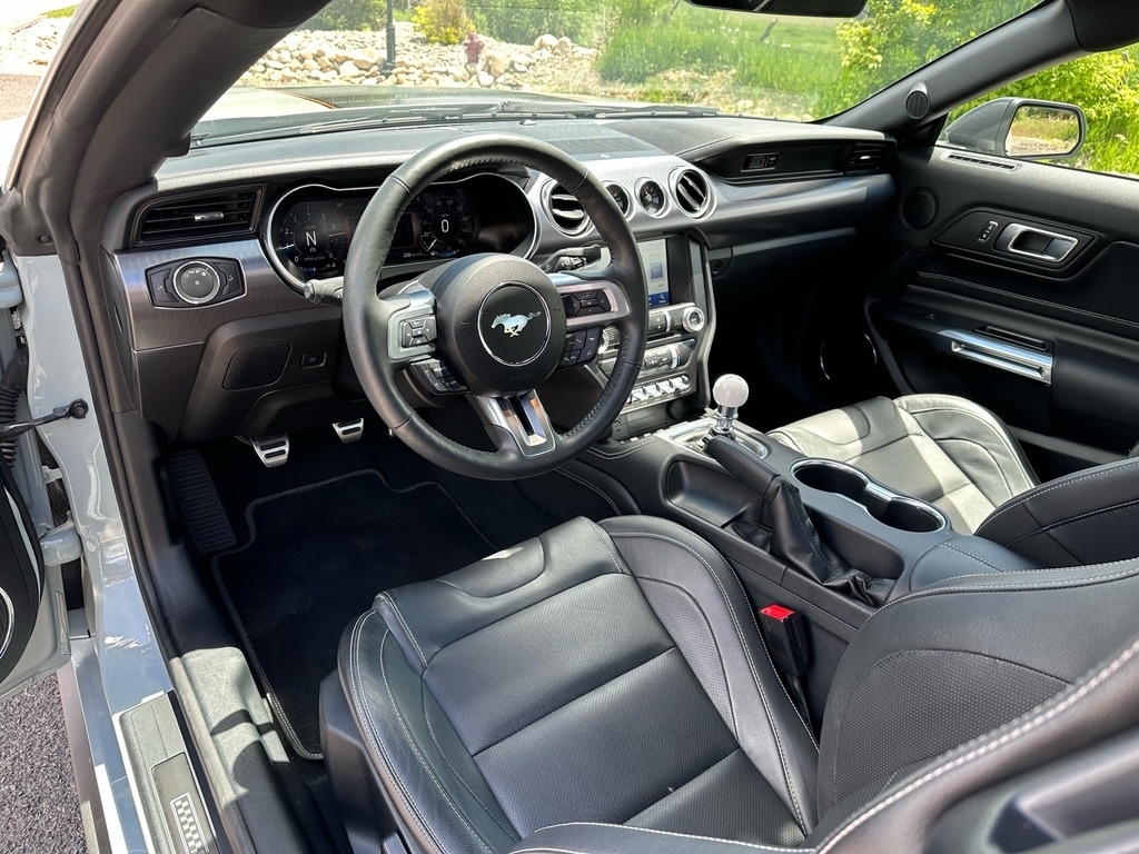 2021 Ford Mustang Mach 1 photo