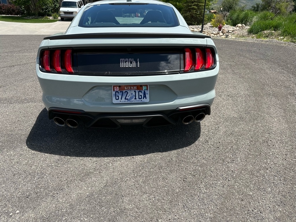 2021 Ford Mustang Mach 1 photo