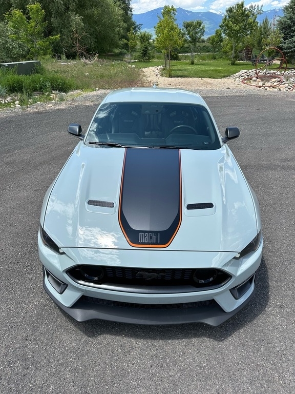 2021 Ford Mustang Mach 1 photo