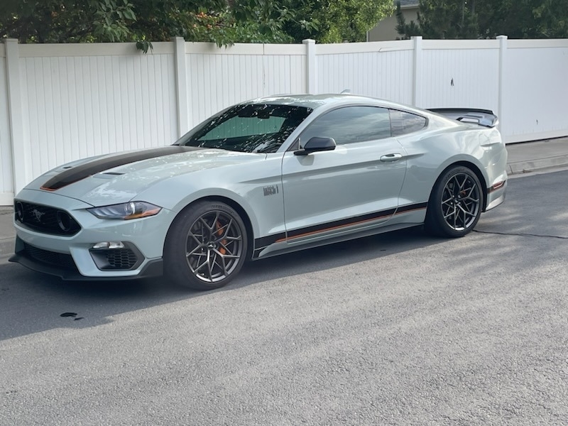 2021 Ford Mustang Mach 1 photo