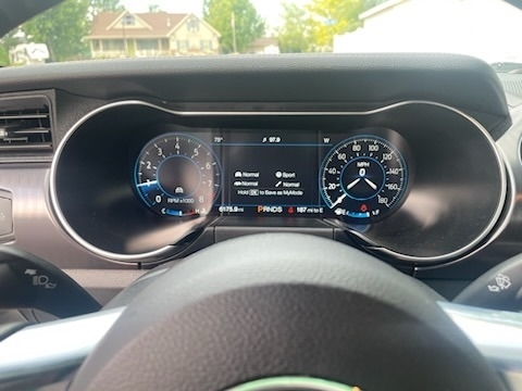 2021 Ford Mustang Mach 1 photo