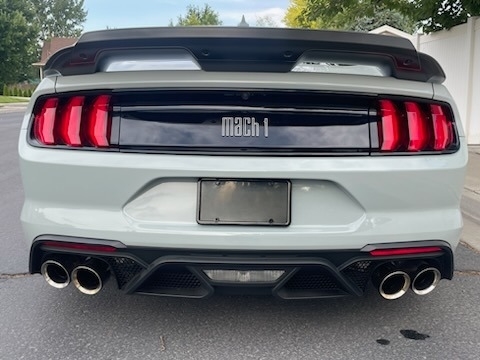 2021 Ford Mustang Mach 1 photo