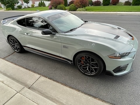 2021 Ford Mustang Mach 1 photo