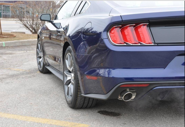 2015 Ford Mustang GT 50 Years Limited Edition photo