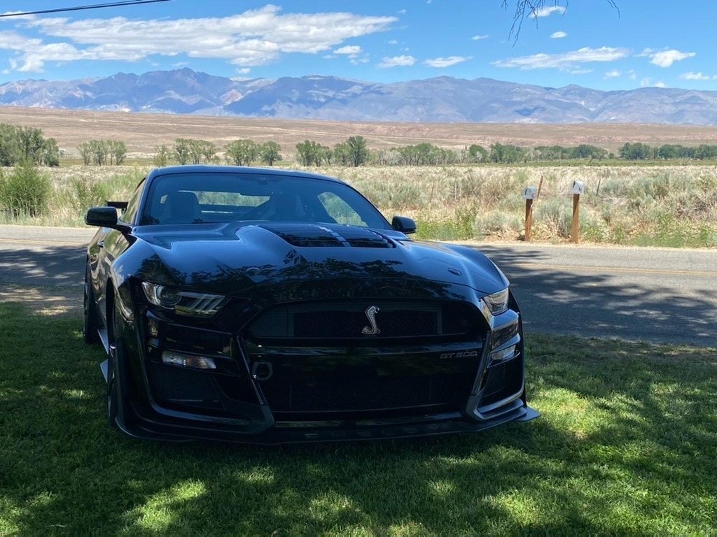 2021 Ford Mustang Shelby GT500 photo