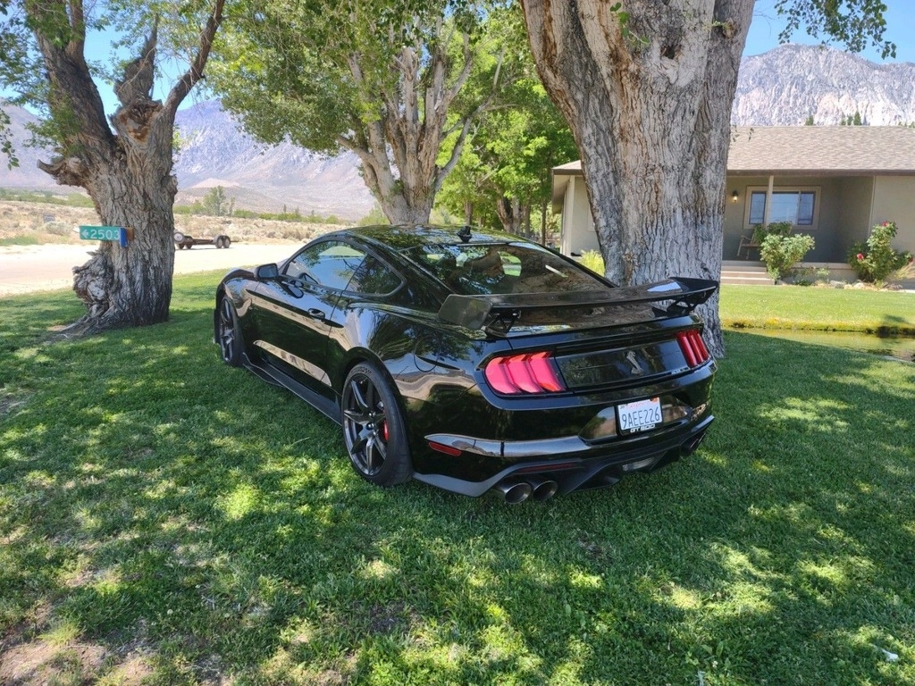 2021 Ford Mustang Shelby GT500 photo