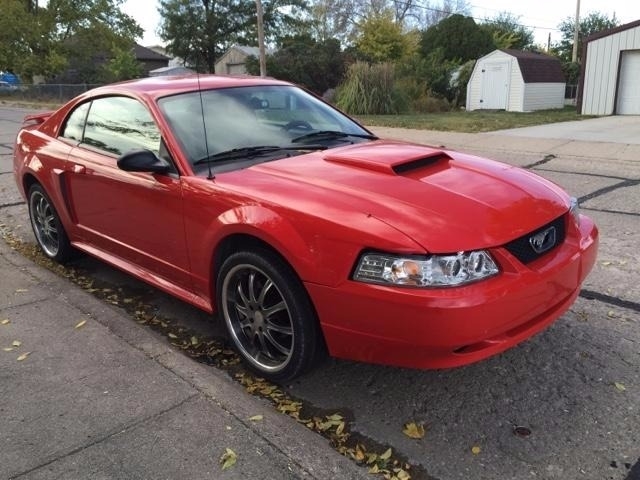 2001 Ford Mustang Bullitt photo