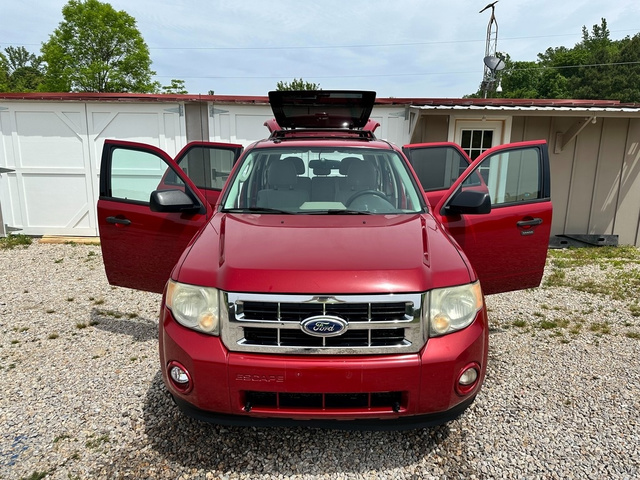 2011 Ford Escape XLT photo