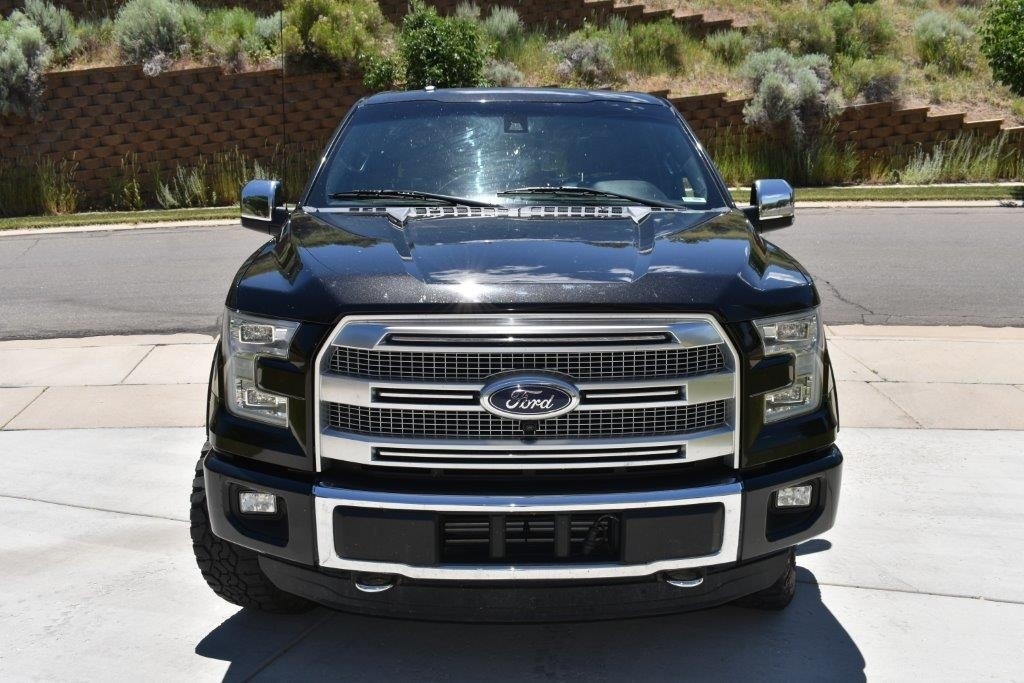 2015 Ford F-150 Platinum photo