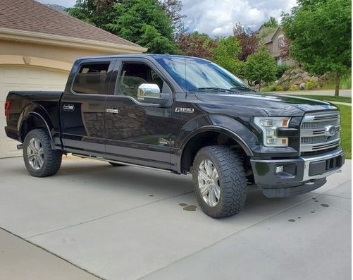 2015 Ford F-150 Platinum photo