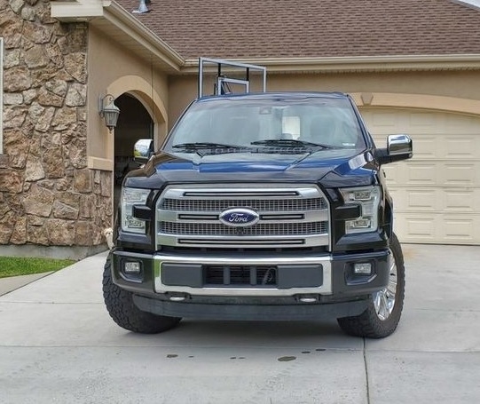 2015 Ford F-150 Platinum photo