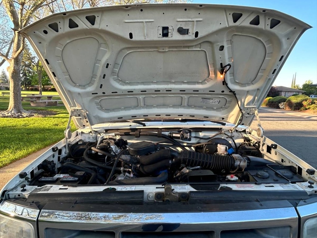 1995 Ford F-150 XL photo
