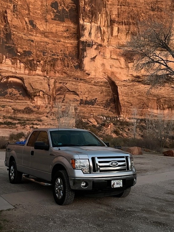 2012 Ford F-150 STX photo