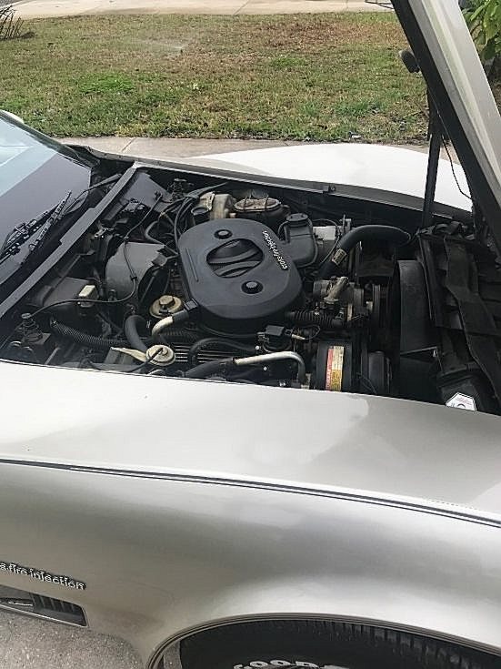 1982 Chevrolet Corvette Collector Edition photo