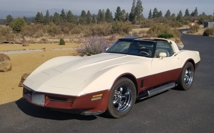 1981 Chevrolet Corvette photo