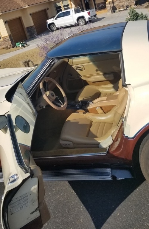 1981 Chevrolet Corvette photo