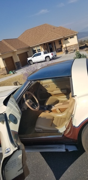 1981 Chevrolet Corvette photo