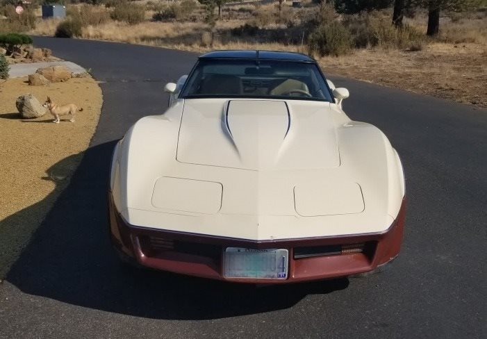 1981 Chevrolet Corvette photo