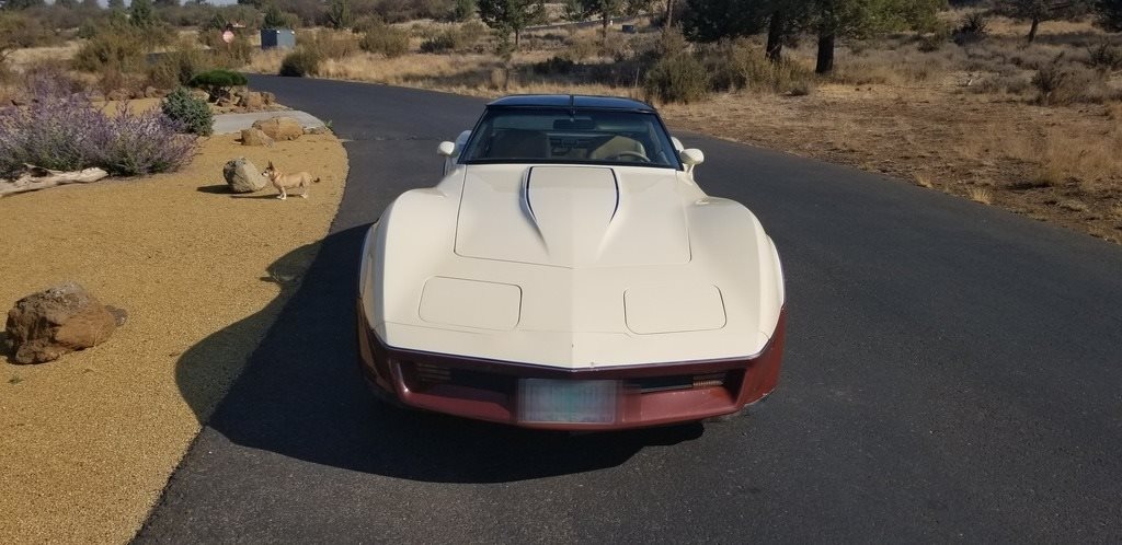 1981 Chevrolet Corvette photo