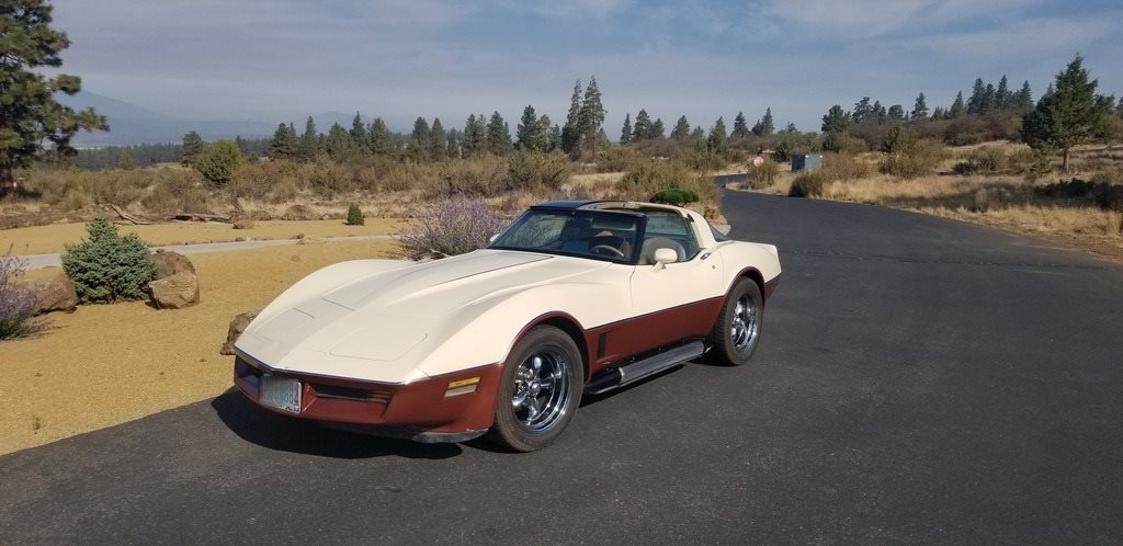 1981 Chevrolet Corvette photo