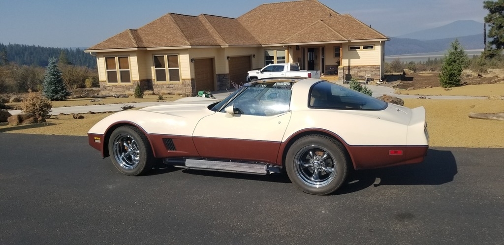 1981 Chevrolet Corvette photo