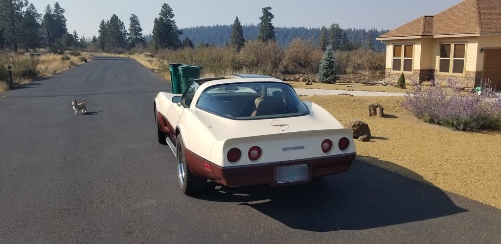 1981 Chevrolet Corvette photo