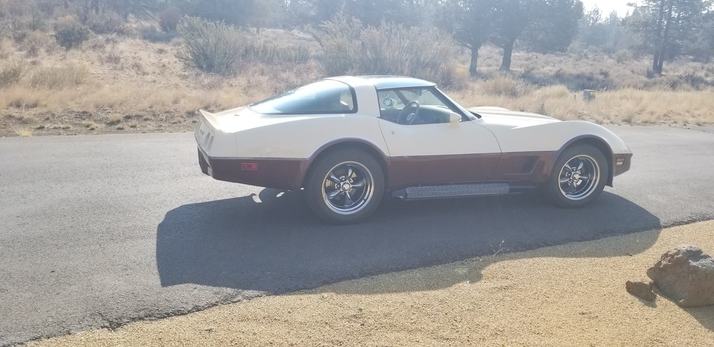 1981 Chevrolet Corvette photo