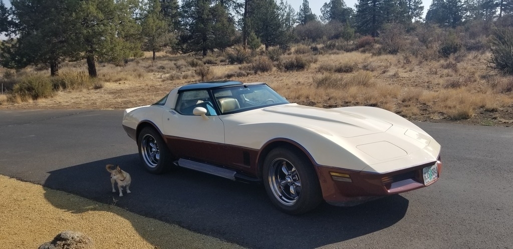1981 Chevrolet Corvette photo