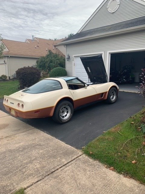 1981 Chevrolet Corvette photo