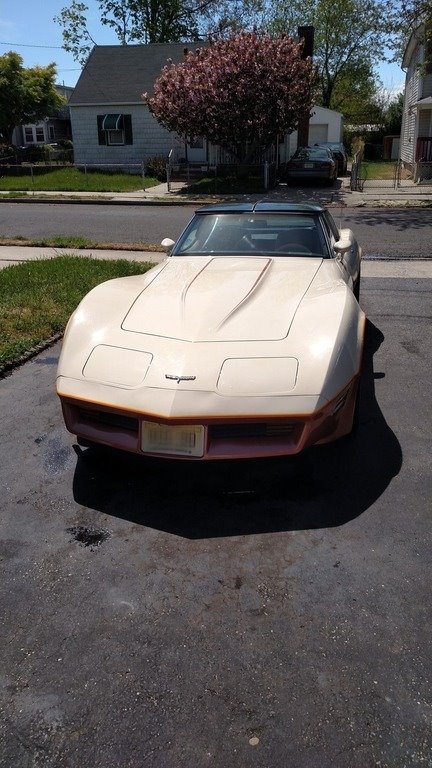 1981 Chevrolet Corvette photo