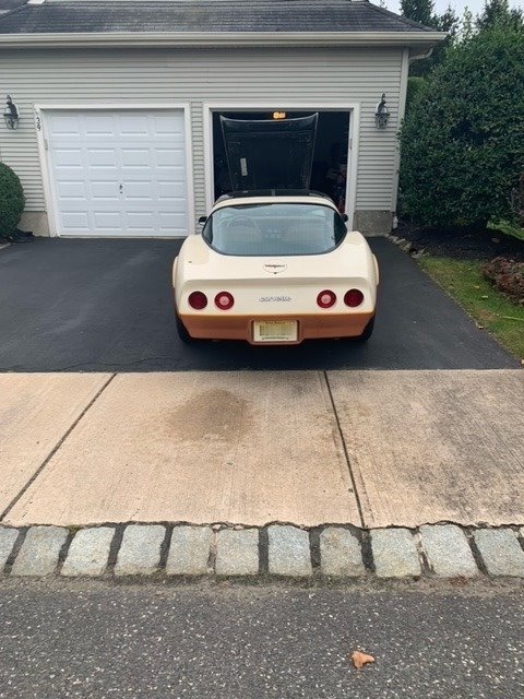 1981 Chevrolet Corvette photo