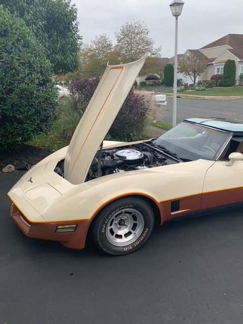 1981 Chevrolet Corvette photo
