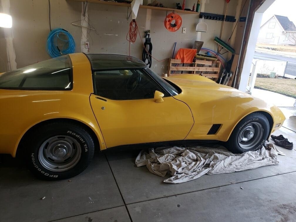 1981 Chevrolet Corvette  photo