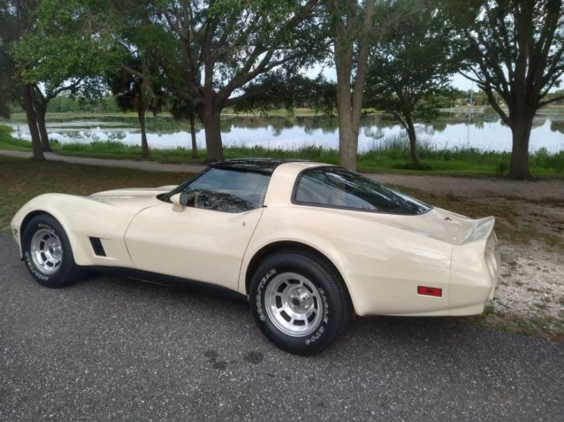 1981 Chevrolet Corvette photo
