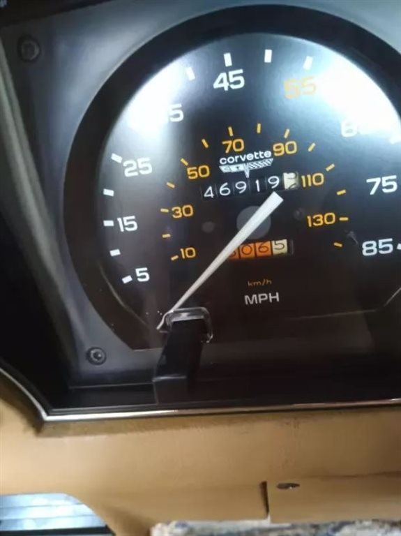1981 Chevrolet Corvette photo