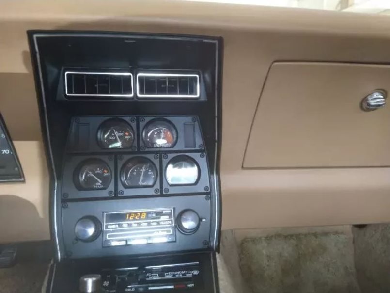 1981 Chevrolet Corvette photo