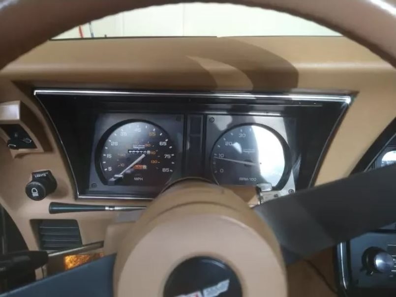 1981 Chevrolet Corvette photo