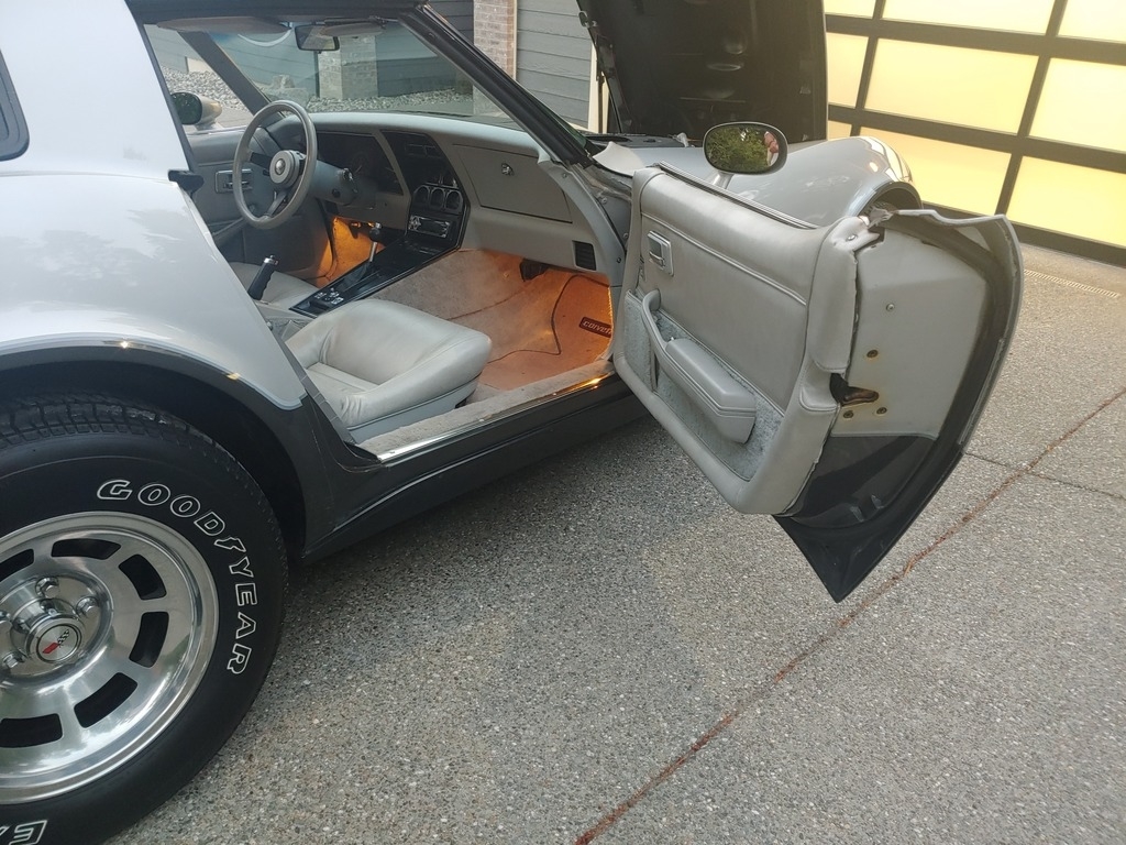 1982 Chevrolet Corvette photo