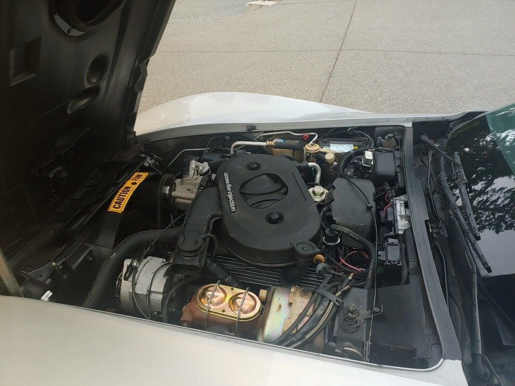 1982 Chevrolet Corvette photo