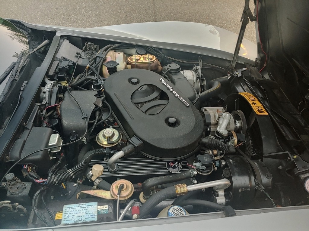 1982 Chevrolet Corvette photo