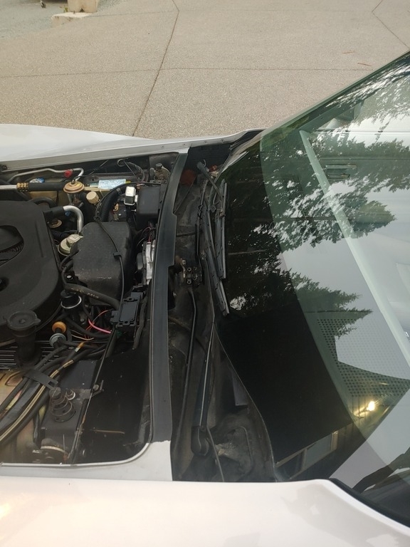 1982 Chevrolet Corvette photo