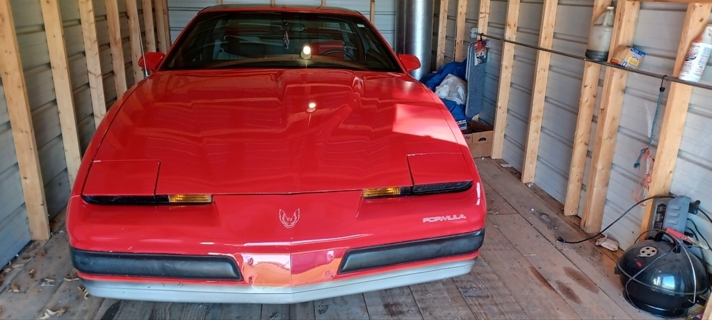 1989 Pontiac Firebird photo