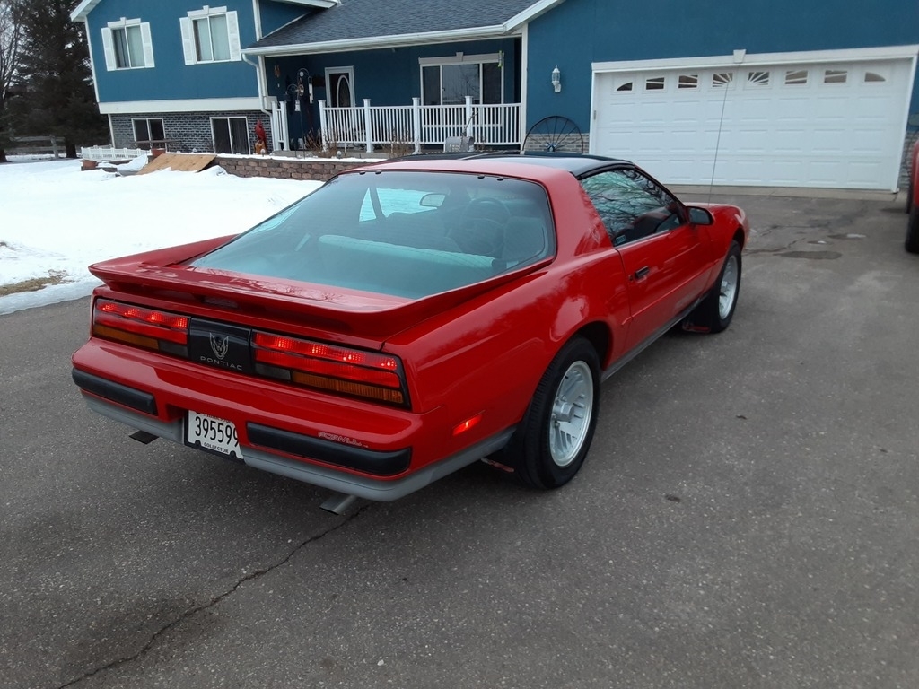 1989 Pontiac Firebird photo