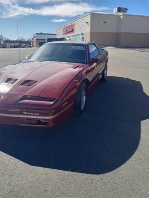 1985 Pontiac Firebird Trans Am photo