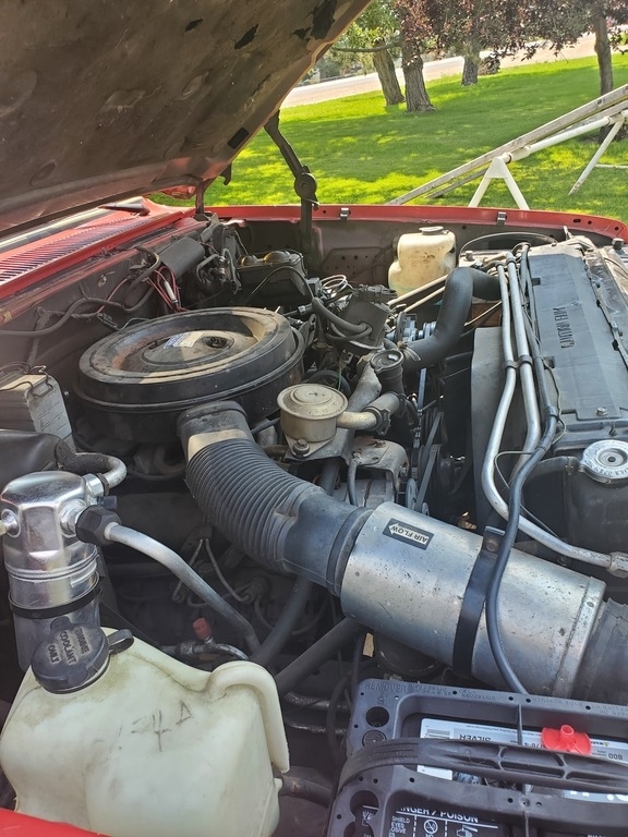 1985 Chevrolet Suburban K20 photo