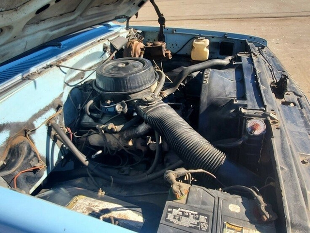 1984 Chevrolet C20  photo