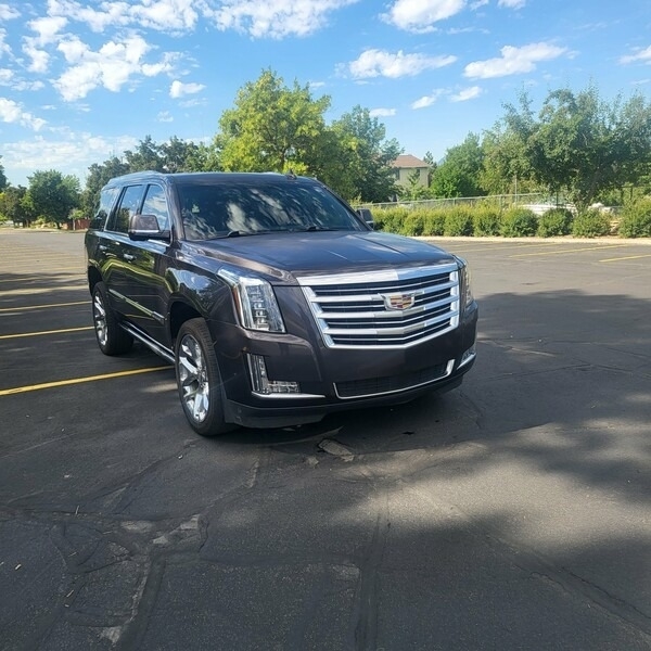 2017 Cadillac Escalade Platinum photo