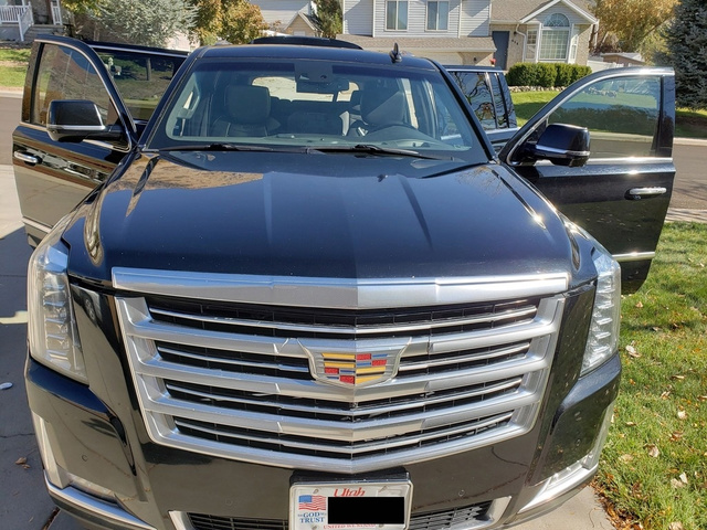2015 Cadillac Escalade ESV Platinum photo