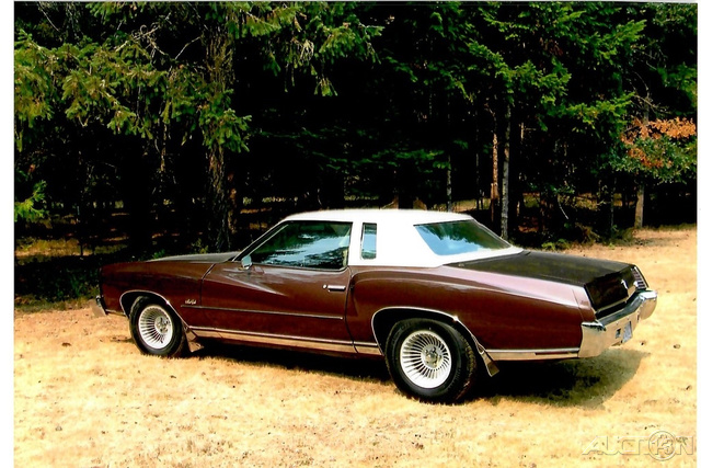 The 1973 Chevrolet Monte Carlo 